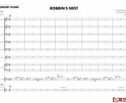 Robbin's Nest钢琴谱-brothersong