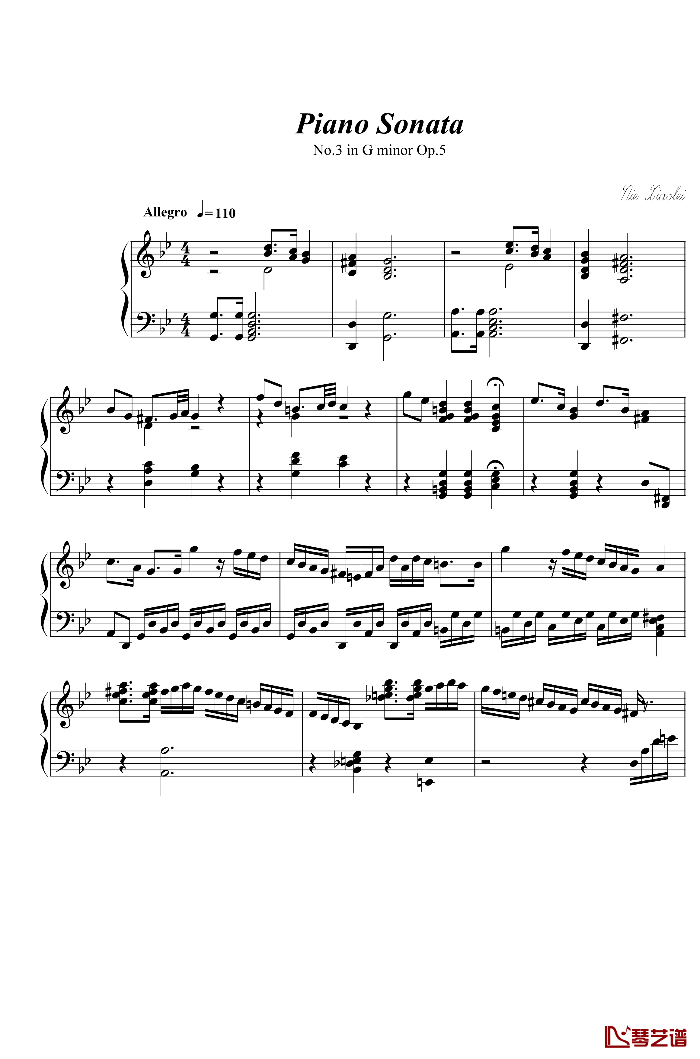 第三钢琴奏鸣曲第一乐章钢琴谱-nzh19341