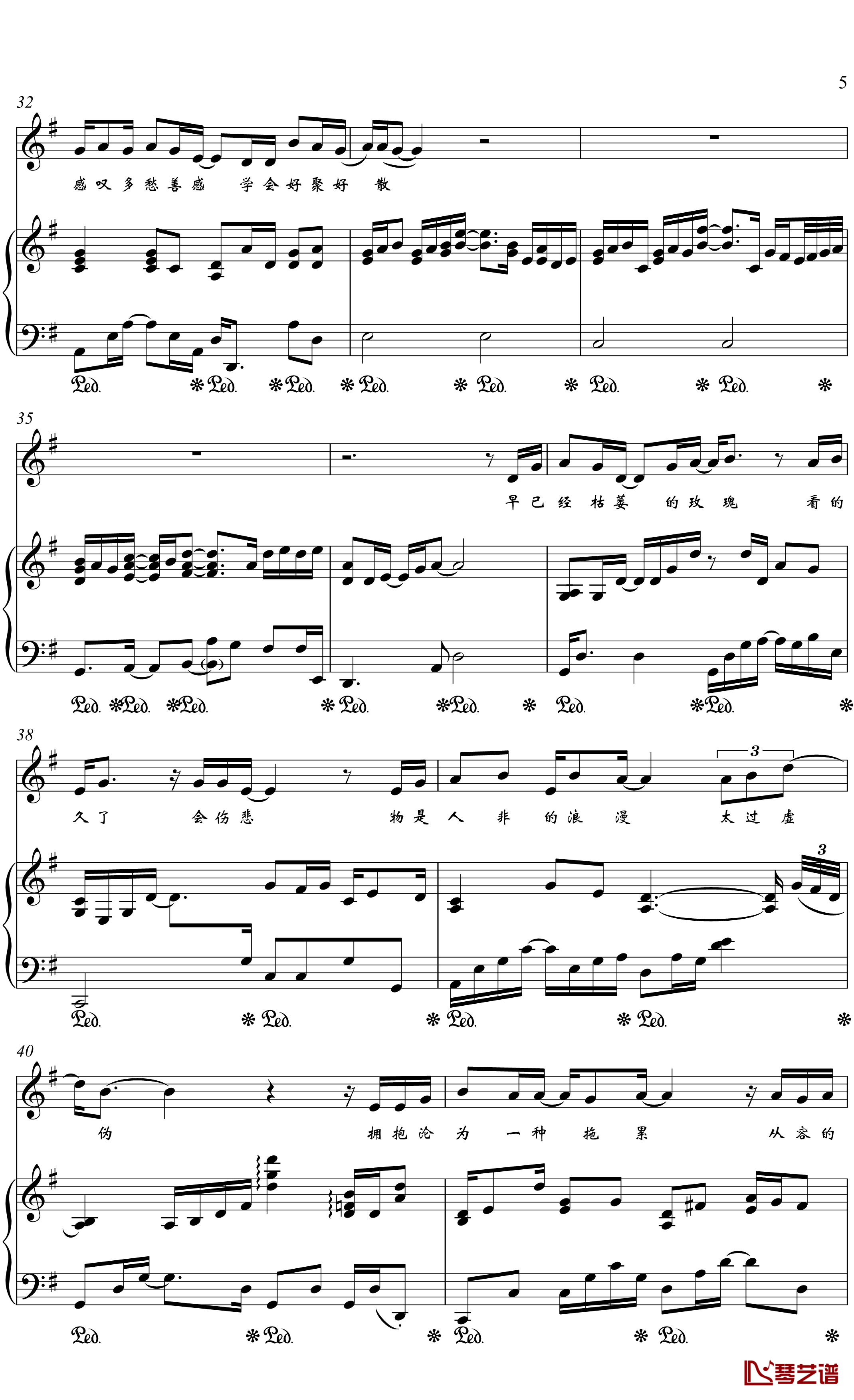 伪装钢琴谱-金老师弹唱1907265