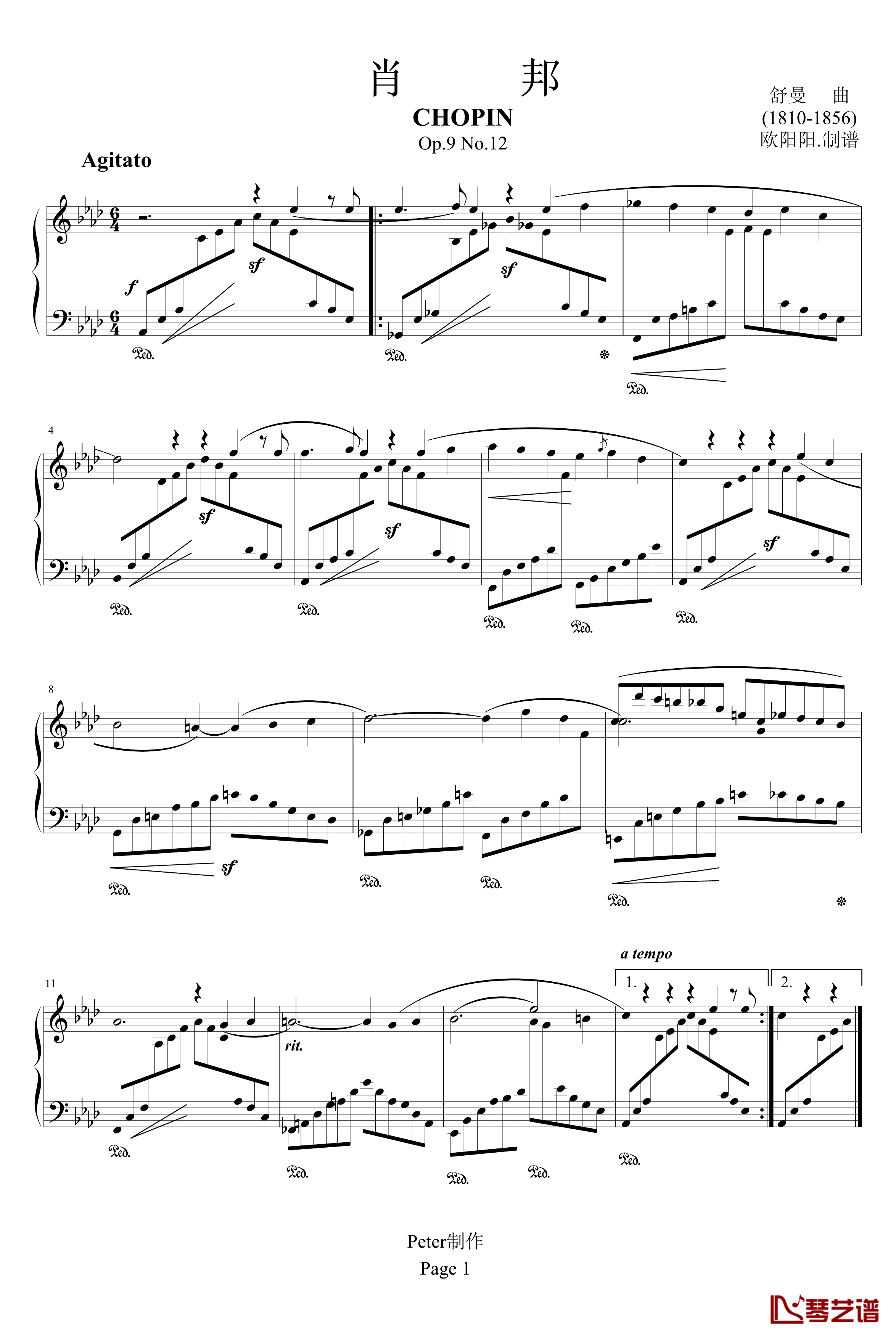 肖邦Op.9 No.12钢琴谱-舒曼1