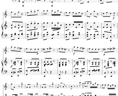 拨弦波尔卡钢琴谱-提琴、钢琴-约翰·斯特劳斯
