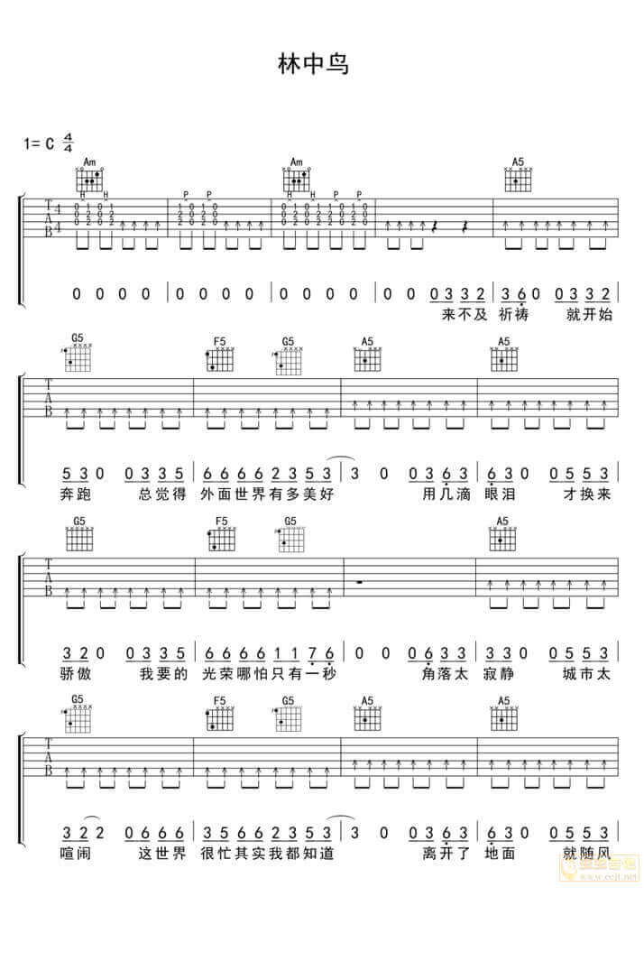 林中鸟吉他谱-葛林-《林中鸟》C调简单版弹唱六线谱-高清图片谱1