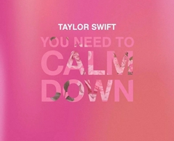 You Need To Calm Down吉他谱 D调 Taylor Swift  吴先生TAB【附示范音频】